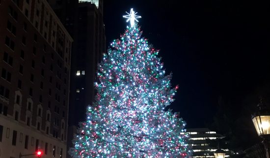 Michigan State Lansing Christmas Tree