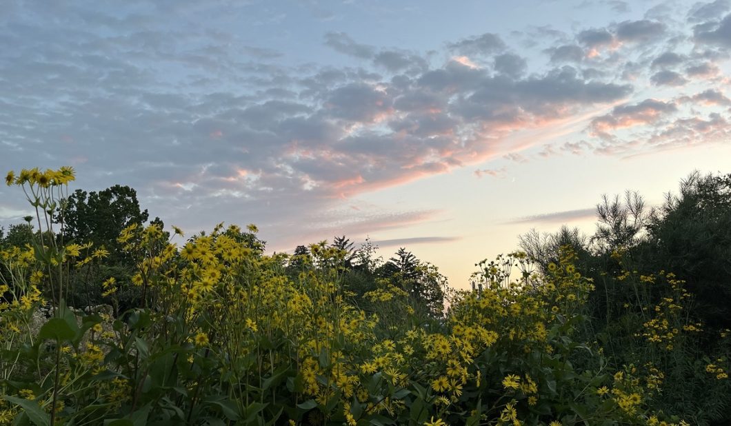 Michigan outdoor image