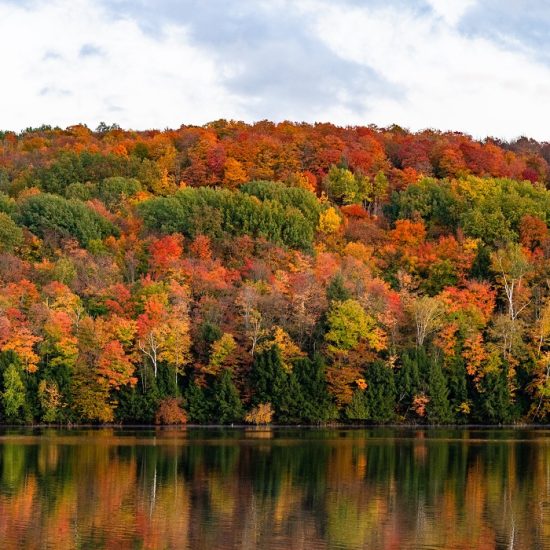 Vibrant fall foliage around a beautiful lake.