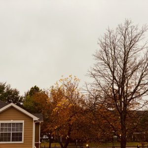 Fall outside in the Midwest.