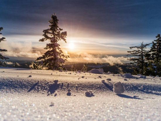 Snowfall. Will 2025 bring a White Christmas? See what the Old Farmer’s Almanac predicts for snow and holiday weather across the U.S.