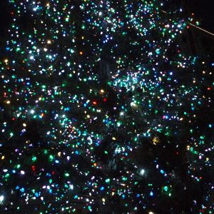 Sparkling Christmas lights on a Christmas tree
