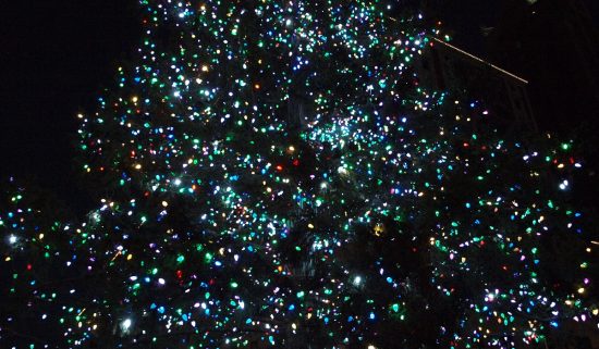 Sparkling Christmas lights on a Christmas tree