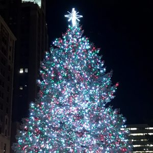 Michigan State Lansing Christmas Tree