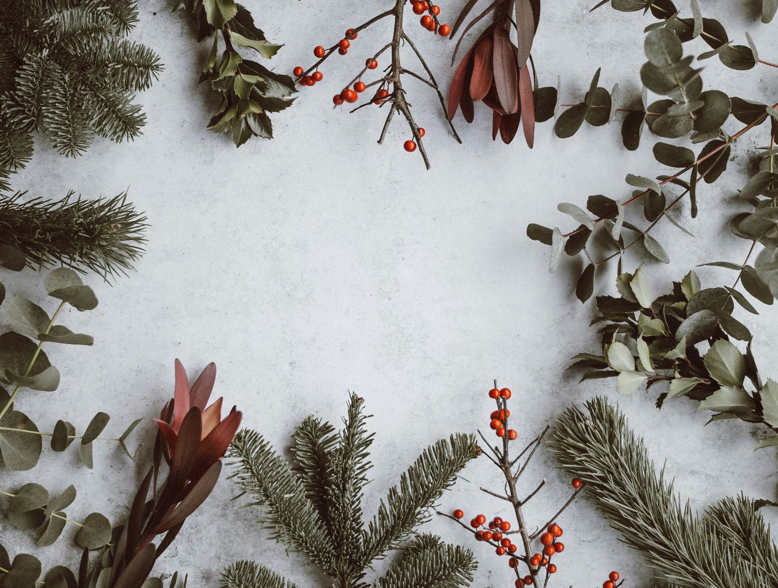 A Michigan farm's tree has been selected to be the official White House Christmas centerpiece, which is an honor.