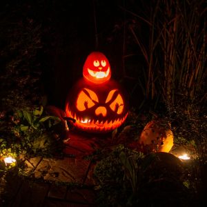 Grab your broomstick, break out the glitter cobwebs, and let’s plan your best Halloween party yet. Tips from the pros. Photo by aisvri.