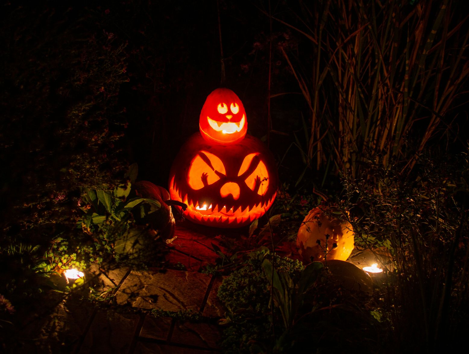 Grab your broomstick, break out the glitter cobwebs, and let’s plan your best Halloween party yet. Tips from the pros. Photo by aisvri.