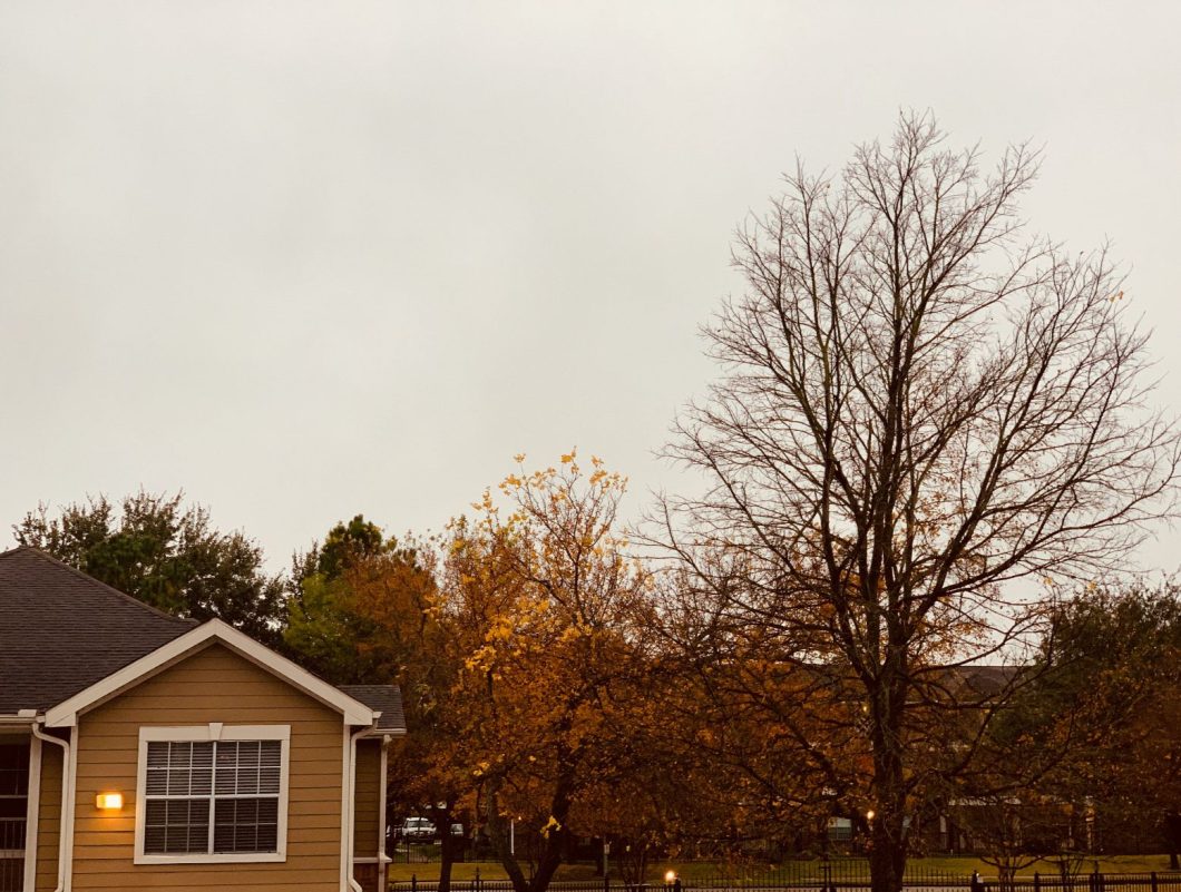 Fall outside in the Midwest.