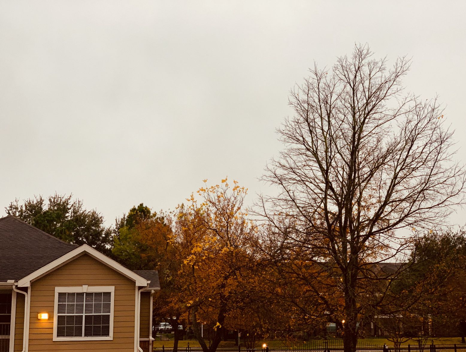 Fall outside in the Midwest.