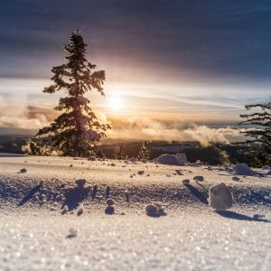 Snowfall. Will 2025 bring a White Christmas? See what the Old Farmer’s Almanac predicts for snow and holiday weather across the U.S.